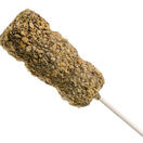 Smore on a Stick